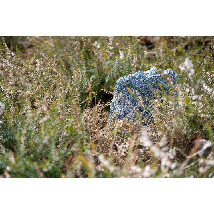 ArtSound ROCK, rots LS, 130W - Granietgrijs (per stuk) ArtSound ROCK, rots LS, 130W - Granietgrijs (per stuk)