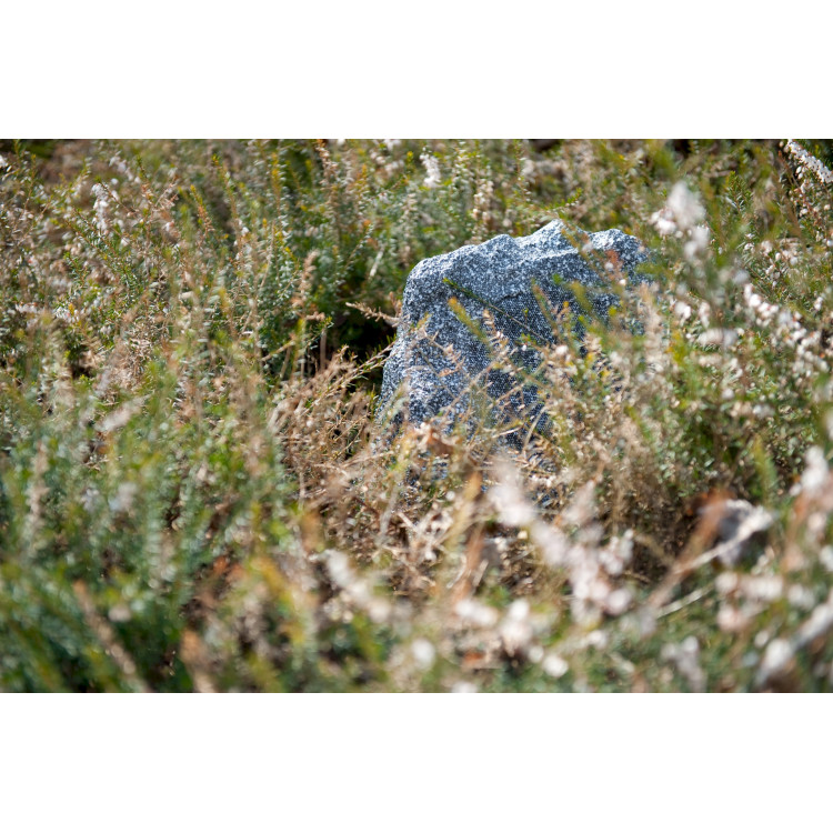 ArtSound ROCK, rots LS, 130W - Granietgrijs (per stuk) ArtSound ROCK, rots LS, 130W - Granietgrijs (per stuk)