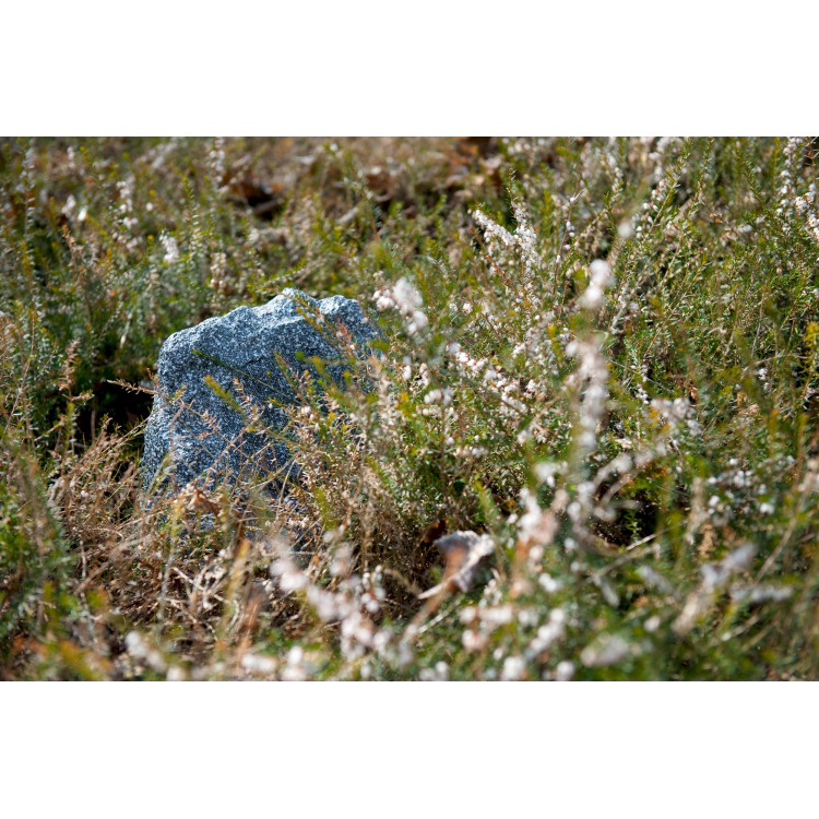 ArtSound ROCK, rots LS, 130W - Granietgrijs (per stuk) ArtSound ROCK, rots LS, 130W - Granietgrijs (per stuk)