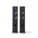 Elipson Horus 11F - Black / Carbon (Per Piece)