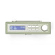 Roberts Rambler Mini, FM/DAB+/BT radio - pastel groen