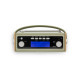 Roberts Rambler BT Stereo, FM/DAB+/BT radio, leaf green