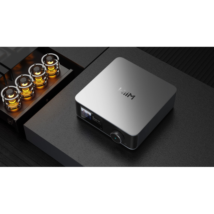 WiiM Ultra, audio streamer (incl. Voice Remote) - Silver WiiM Ultra, audio streamer (incl. Voice Remote) - Silver