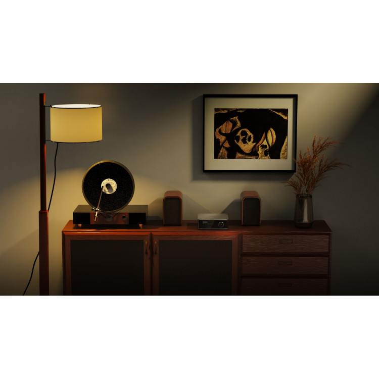 WiiM Amp Ultra, streaming versterker, zilver WiiM Amp Ultra, streaming versterker, zilver