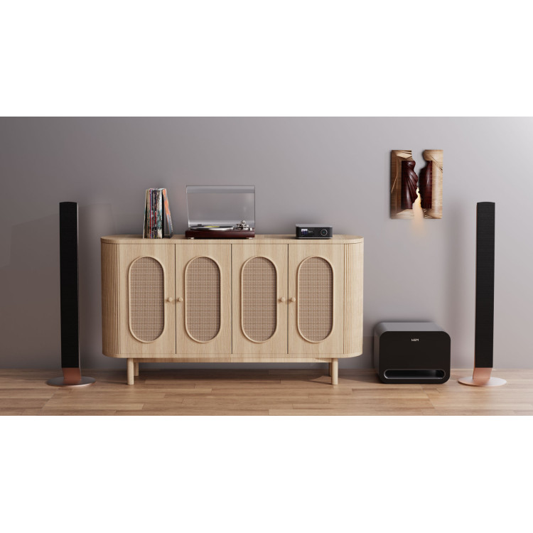 WiiM Sub Pro, subwoofer- Zwart