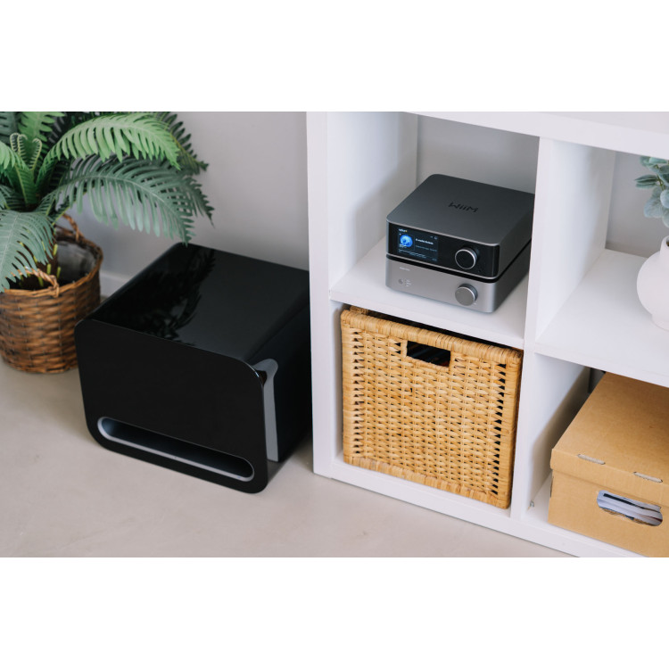 WiiM Sub Pro, subwoofer- Zwart
