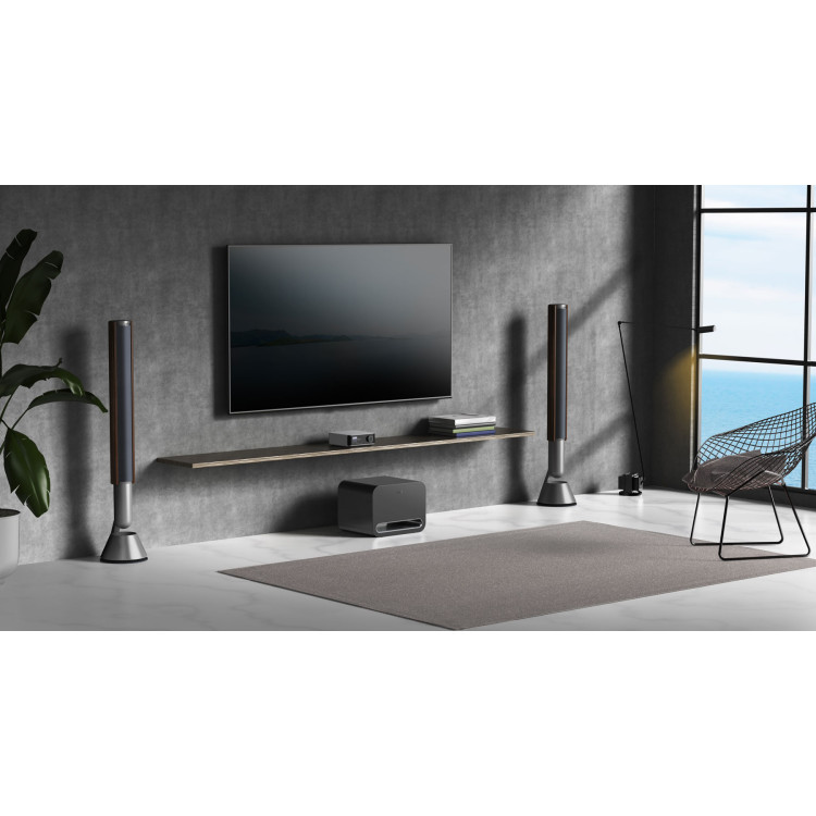 WiiM Sub Pro, subwoofer- Zwart