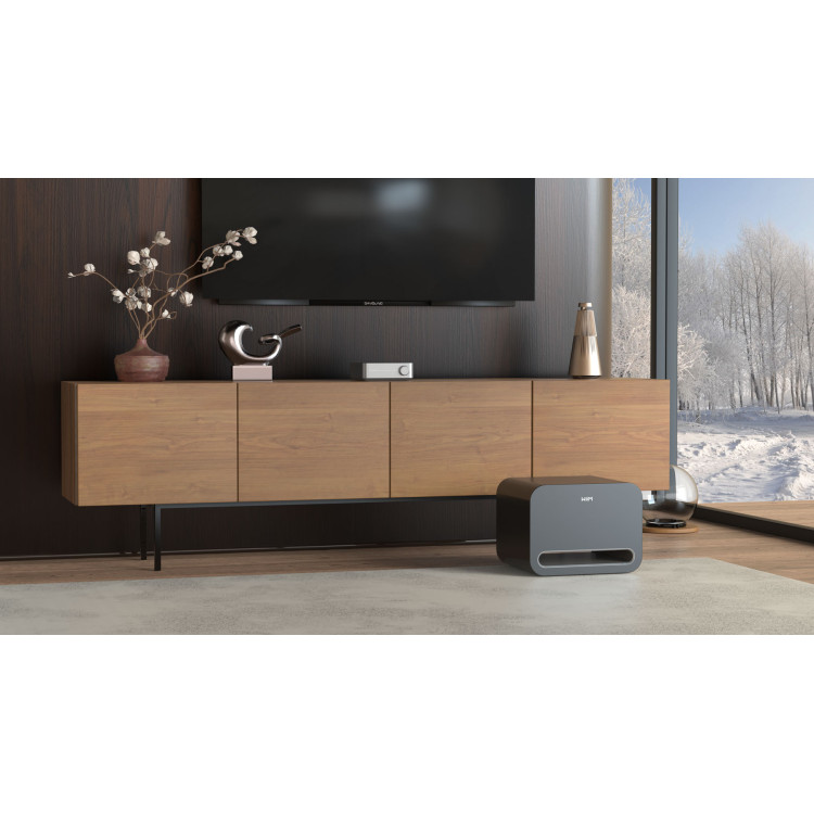 WiiM Sub Pro, subwoofer- Zwart