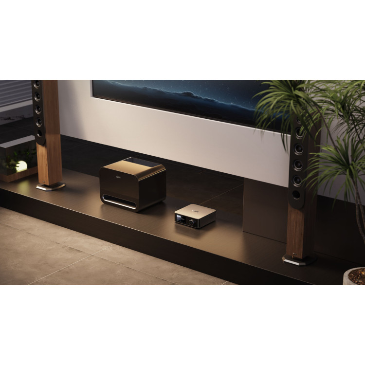 WiiM Sub Pro, subwoofer- Zwart