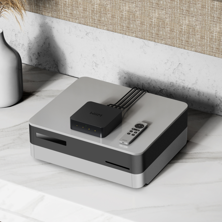 WiiM Voice Remote 2, afstandsbediening - Aluminium