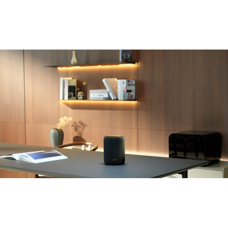 WiiM Sound Lite, smart speaker - Zwart