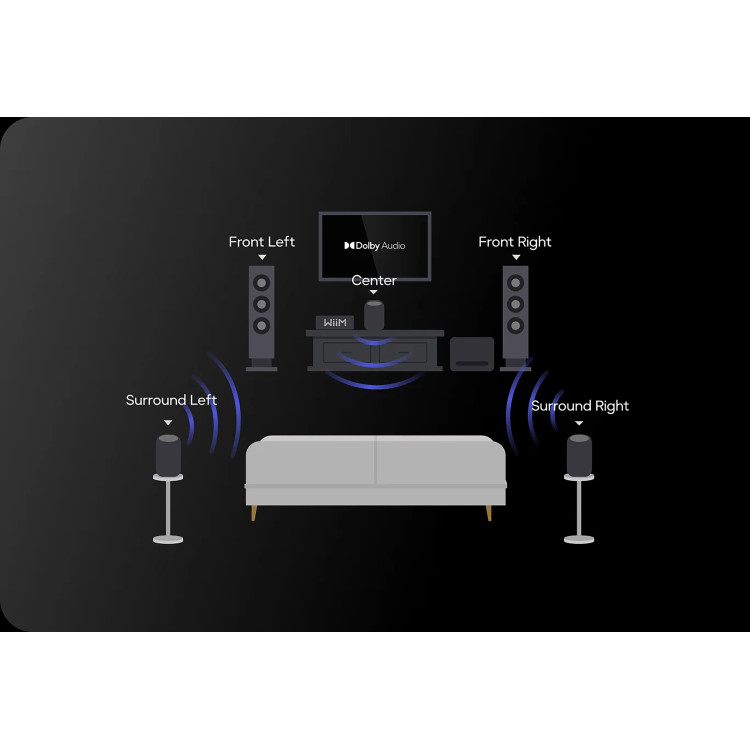 WiiM Sound Lite, smart speaker - Zwart