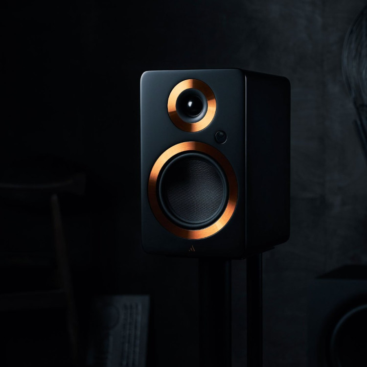 Argon Audio Forte A5 - Zwart (per paar) Argon Audio Forte A5 - Zwart (per paar)