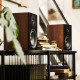 Argon Audio Forus 5 - Walnoot (per paar) Argon Audio Forus 5 - Walnoot (per paar)