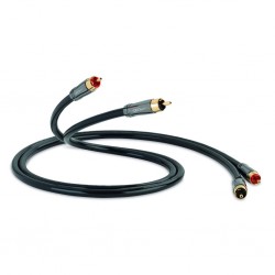 QED Performance Audio 40 - 1m
