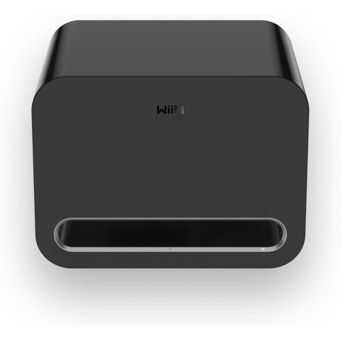 WiiM Sub Pro, subwoofer - Black WiiM Sub Pro, subwoofer - Black