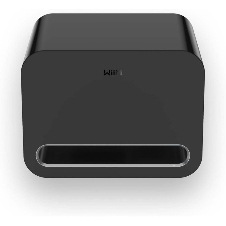WiiM Sub Pro, subwoofer- Zwart
