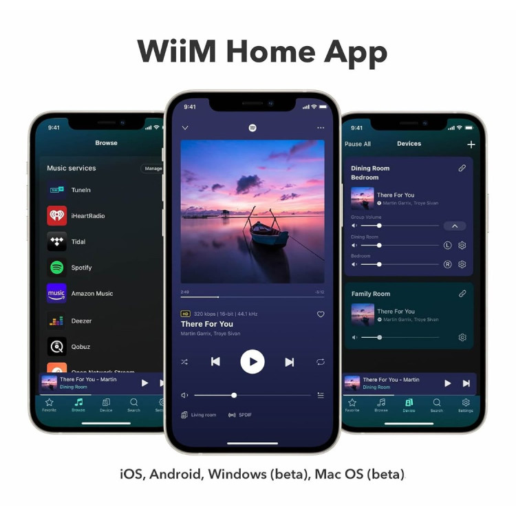 WiiM Pro Plus Streamer (incl. stem-afstandbediening) - Zwart WiiM Pro Plus Streamer (incl. stem-afstandbediening) - Zwart