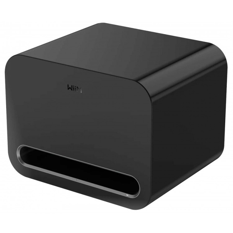 WiiM Sub Pro, subwoofer- Zwart