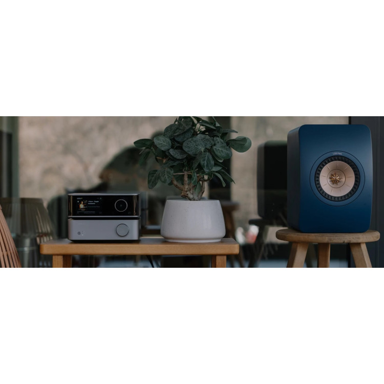 WiiM Vibelink Amp, versterker - Zilver